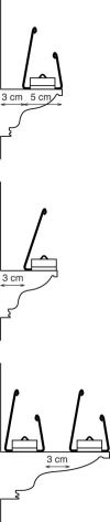 cable_bird_corniche_en_100