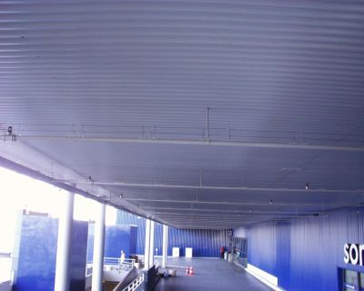 cable_bird_photo_halle_1