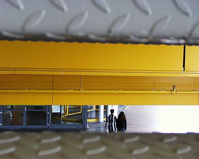 cable_bird_photo_halle_2
