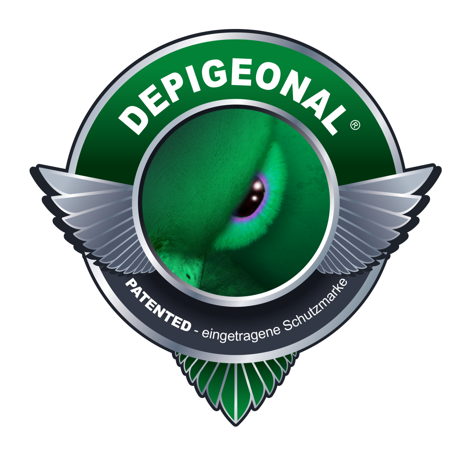 depigeonal