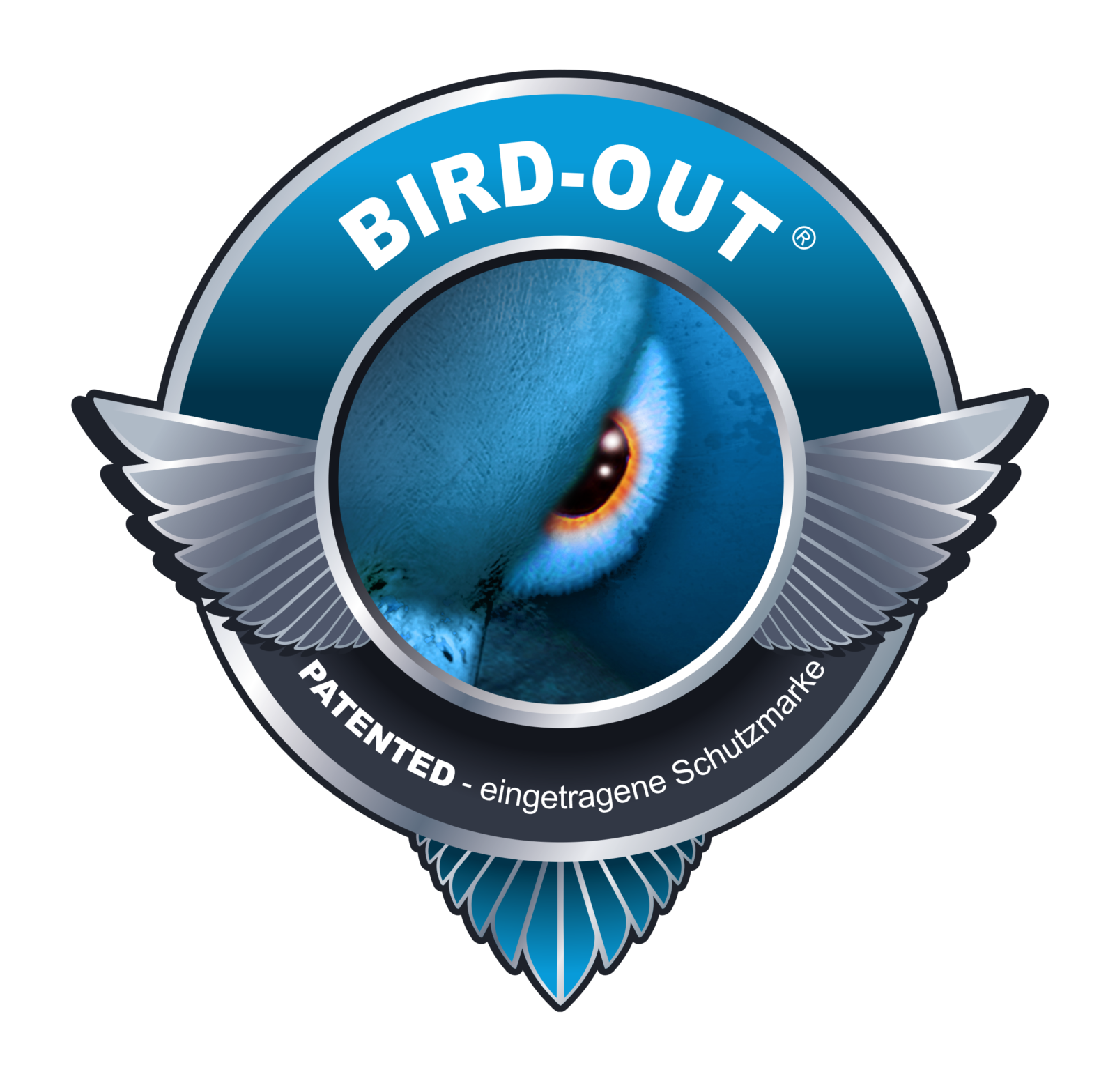 bird out