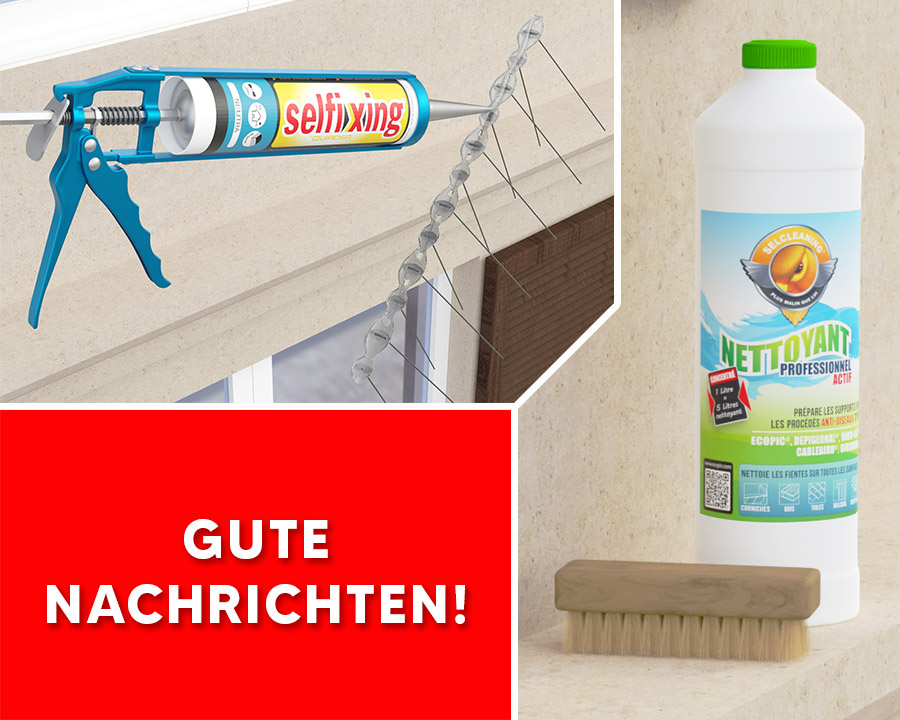 SELCLEANING & SELCLEANING WIEDER DA!